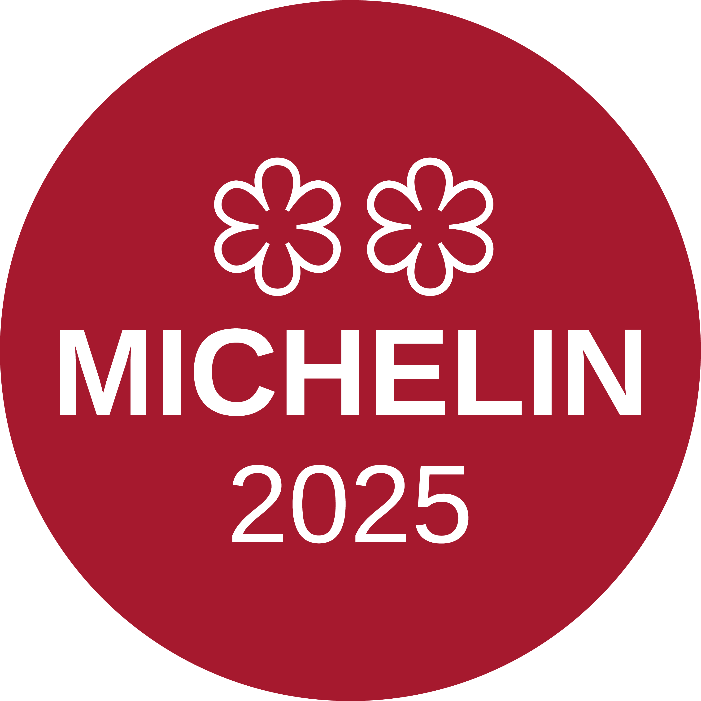 MICHELIN 2025