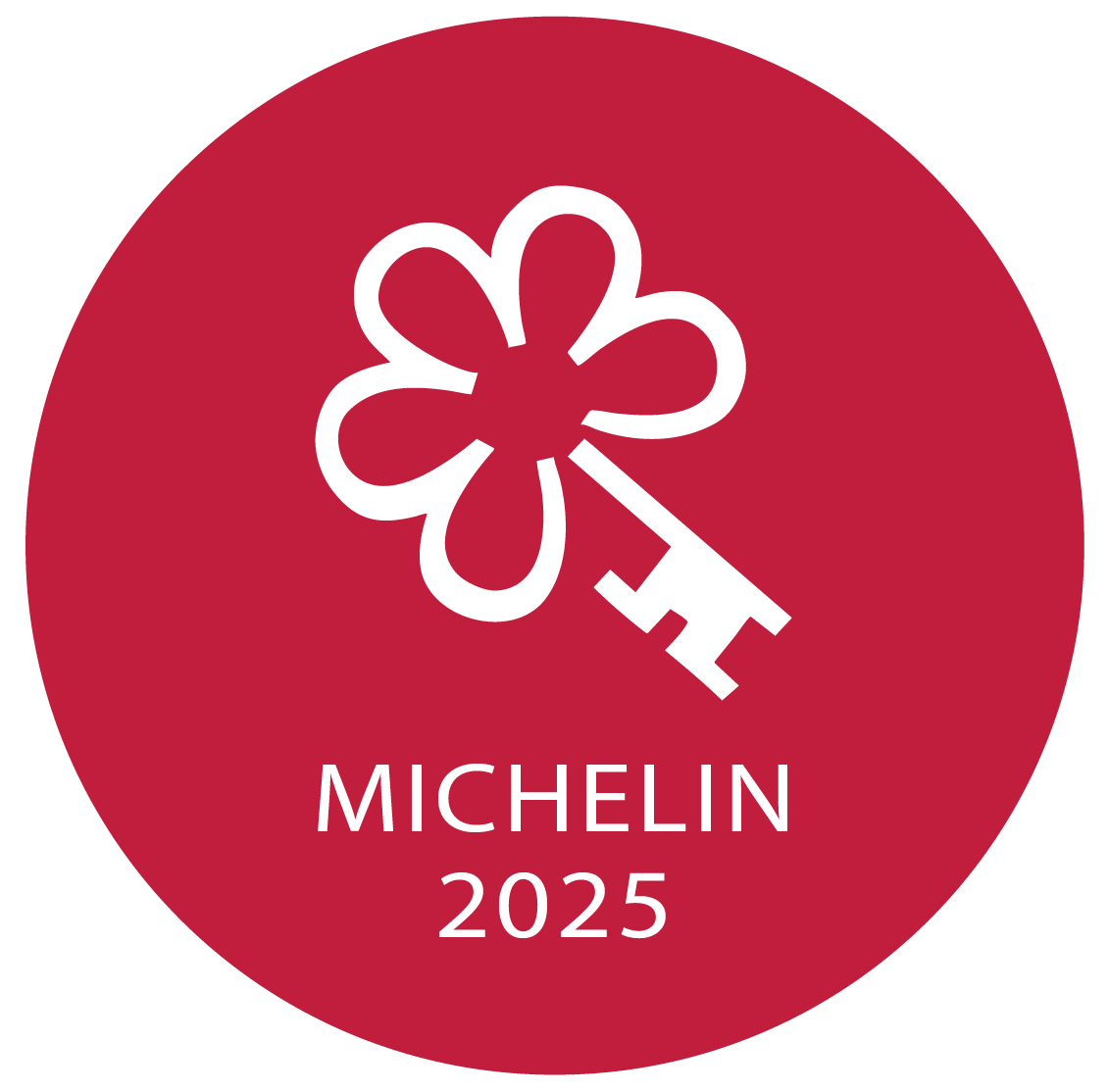MICHELIN 2025